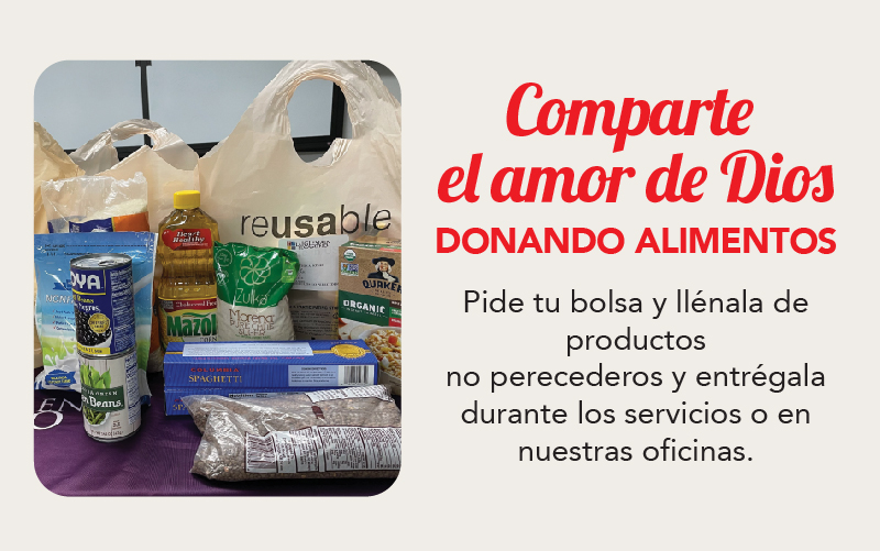 alimentos web-01