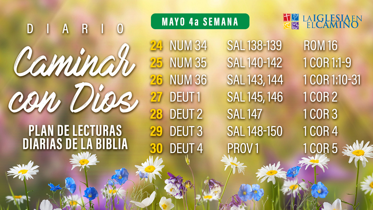 04 mayo PPT